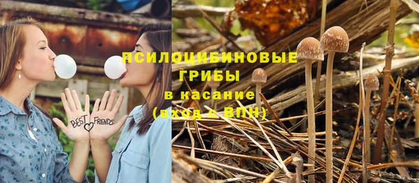 спиды Абинск