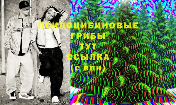 эйфоретик Новокубанск