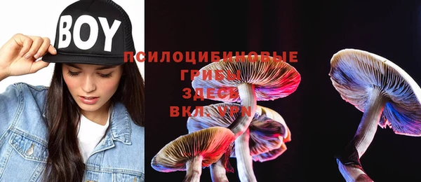 эйфоретик Новокубанск